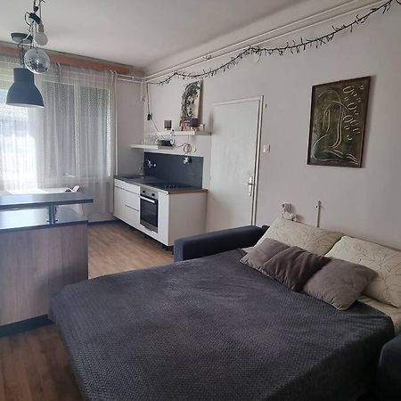Cosy 2 Room Apartment With Nice Vibe, For Up To 4 ลูบลิยานา ภายนอก รูปภาพ